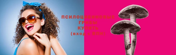 альфа пвп Богородицк