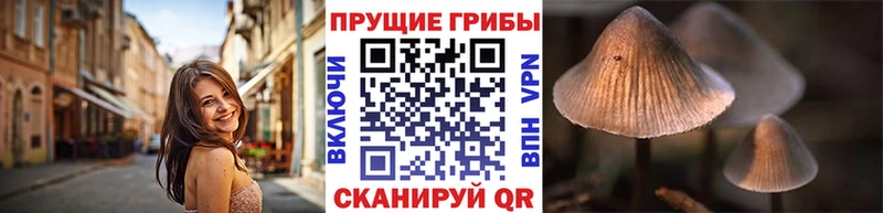 Галлюциногенные грибы Magic Shrooms  Юхнов 